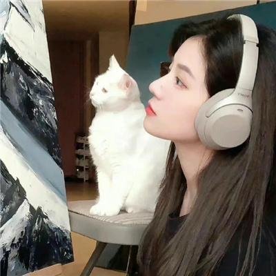 牛皮